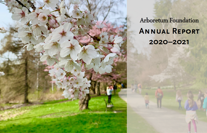 cover of annual report showing cherry tree blooming