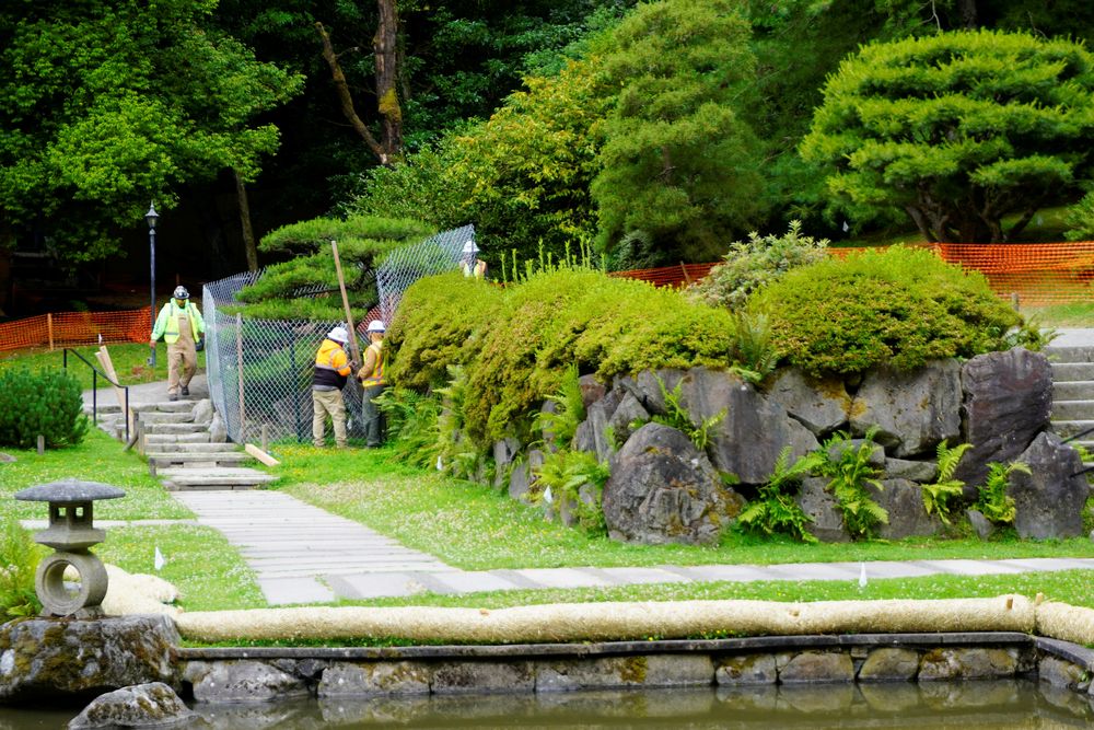 Japanese Garden Reopening Soon as Master Stonemason Set to Arrive